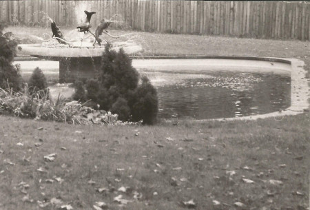 145) Fontána "Ryby" od sochaře Jaroslava Votlučky stávala od roku 1960 v sadech pod divadlem J. K. Tyla. V noci byla i barevně nasvícena. Jako kluk jsem k ní rád chodil. Fontána byla bohužel ve druhé polovině 80. let zničena. Foto Zbyněk Šůcha 15.10. 1980